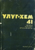 Улуг-Хем № 41