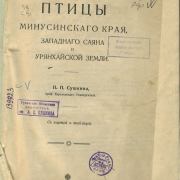 День птиц День птиц