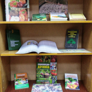 Книжная выставка «Сбор урожая»