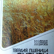 Книжная выставка «Пшеница золотая»
