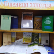 Книжная выставка «Пшеница золотая»