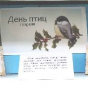 День птиц День птиц