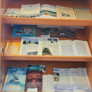 «Соңгу чүк болгаш Тыва»