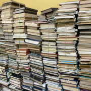 Будущее библиотечной культуры в Туве: модернизация уже началась