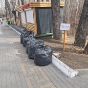 Национальная библиотека Тувы на субботнике!