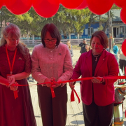 Тоора-Хем расцветает культурой!