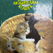 «Всё о котах и кошках»