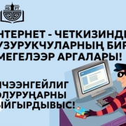 Интернет четкизинде бузурукчуларның бир мегелээр аргалары!