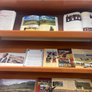 «Наадым – чоннуӊ сүлде-сүзүү» (праздник животновода)