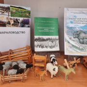 Книжно-иллюстрированная выставка «Наадым – традиционный праздник аратов»