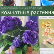Книжная выставка «Всё о  комнатных растениях»